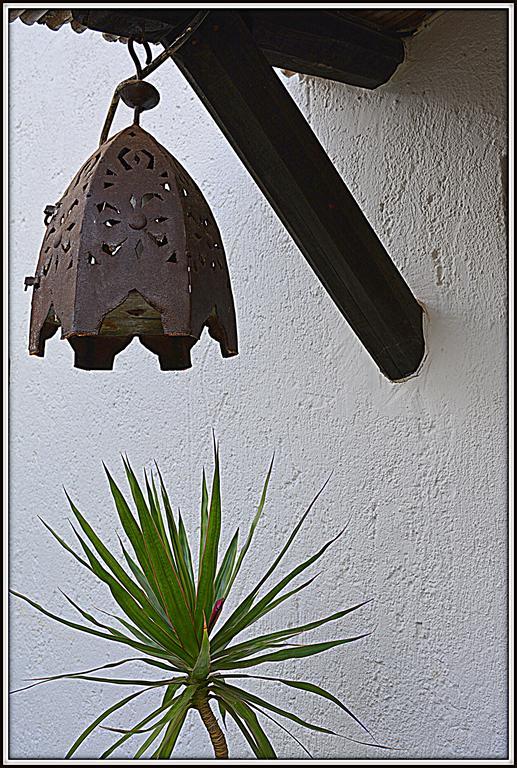 La Carrihuela Guest House Algodonales Luaran gambar