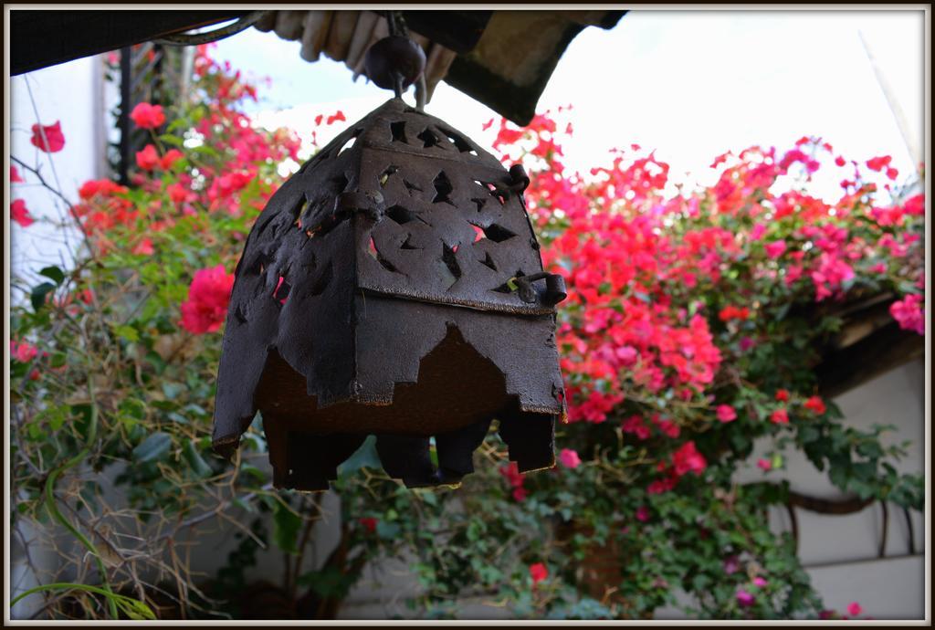 La Carrihuela Guest House Algodonales Luaran gambar