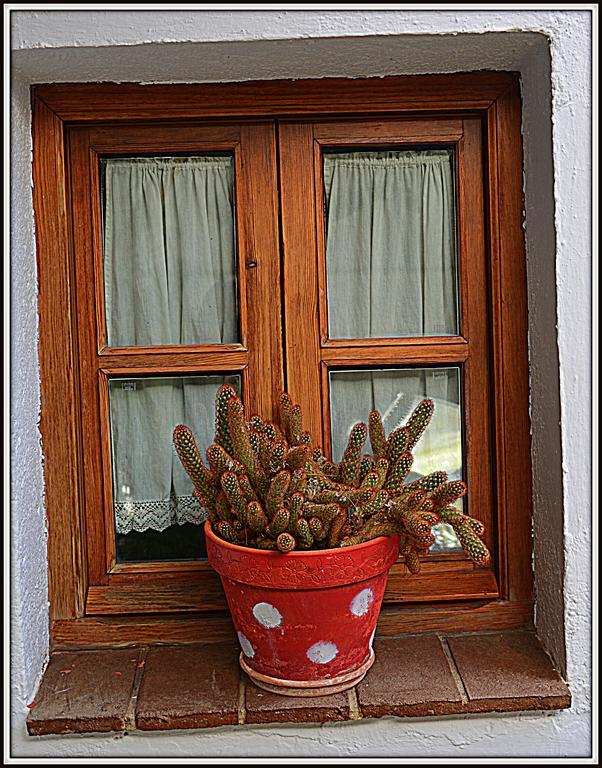 La Carrihuela Guest House Algodonales Luaran gambar
