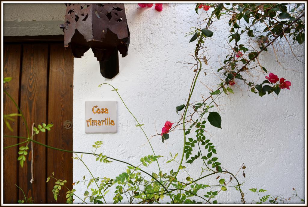 La Carrihuela Guest House Algodonales Luaran gambar